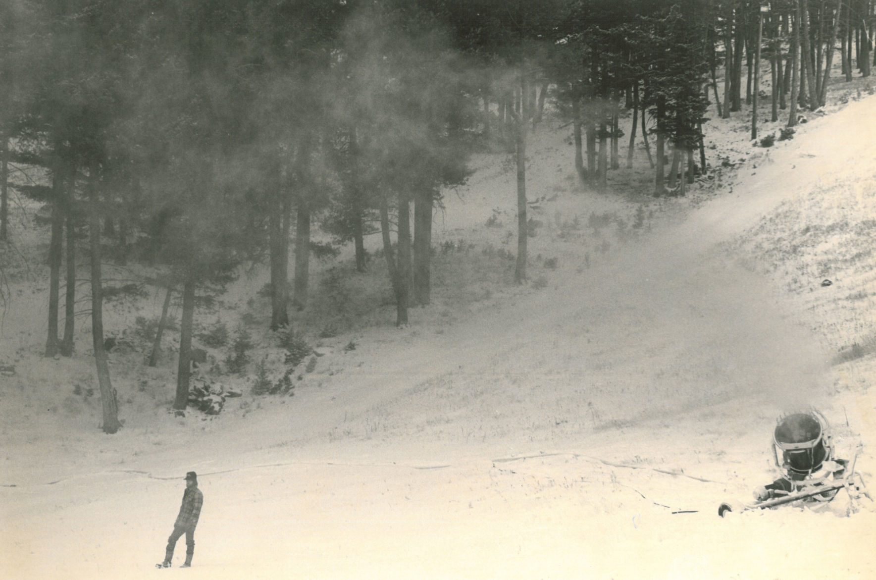 New snow